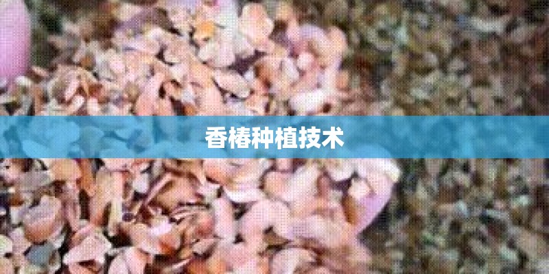 男人衣服怎么搭配的好