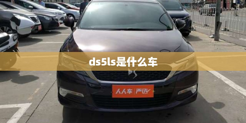 ds5ls是什么车 ds5ls是什么车