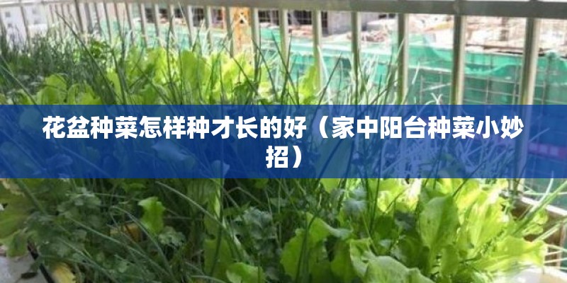 inter 词根为什么是 在什么之间的意思吗？