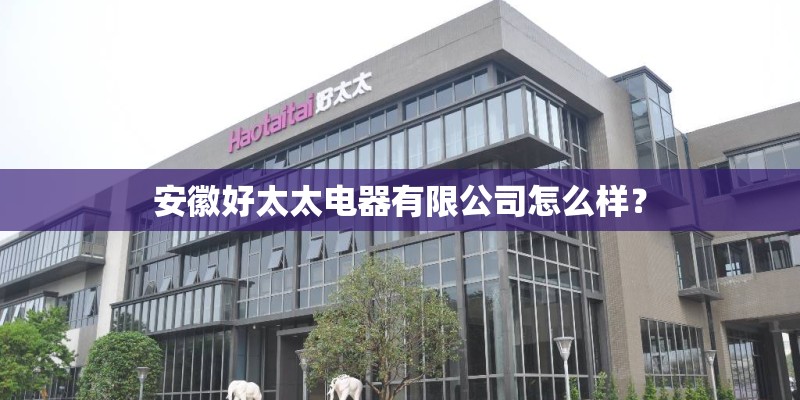 安徽好太太电器有限公司怎么样？