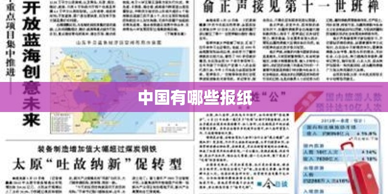 中国有哪些报纸