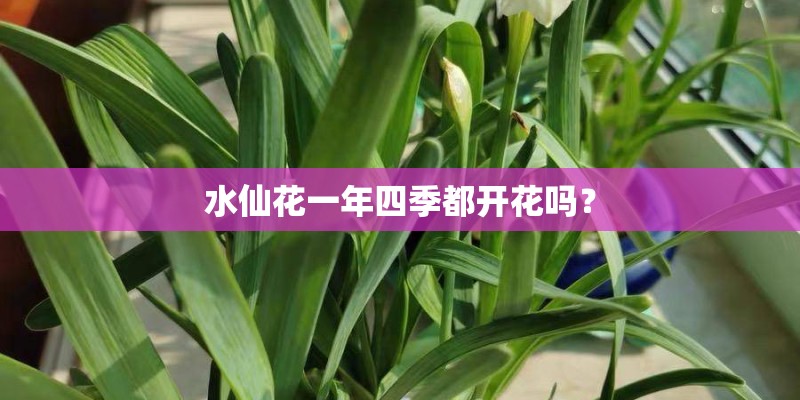 蓟县公交车专线票价