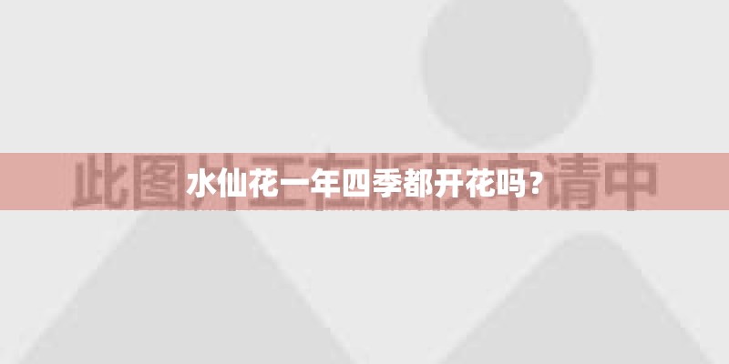 水仙花一年四季都开花吗？