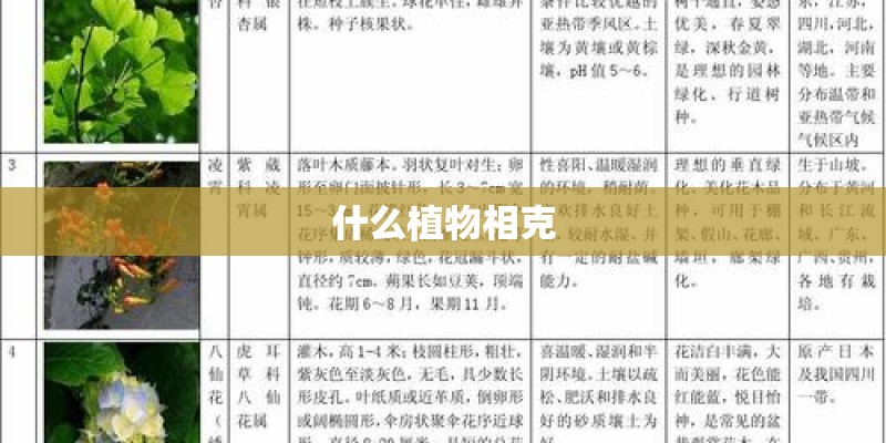 什么植物相克