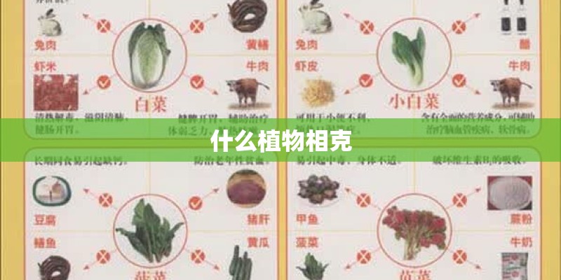 行政乱收费的举报电话是多少？