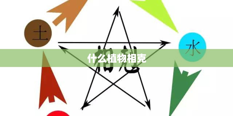什么植物相克