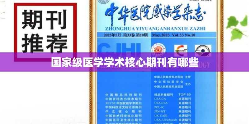 国家级医学学术核心期刊有哪些