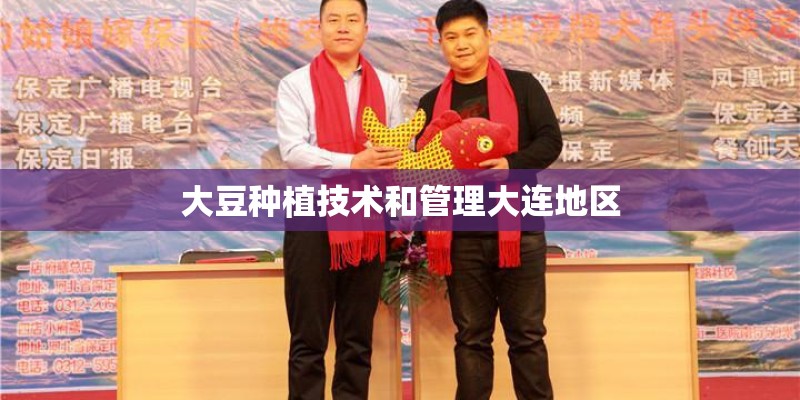 大豆种植技术和管理大连地区