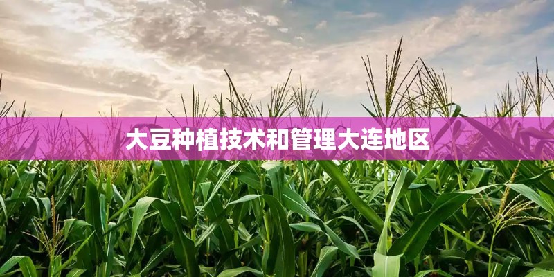 大豆种植技术和管理大连地区