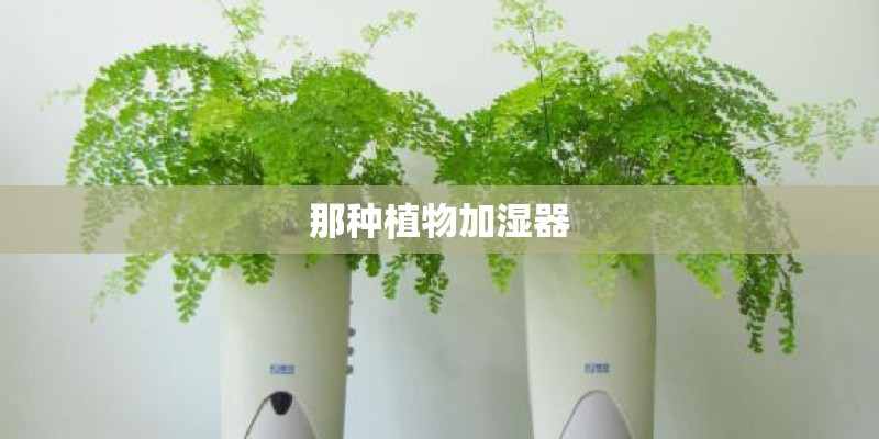 2023云计算股票龙头股一览