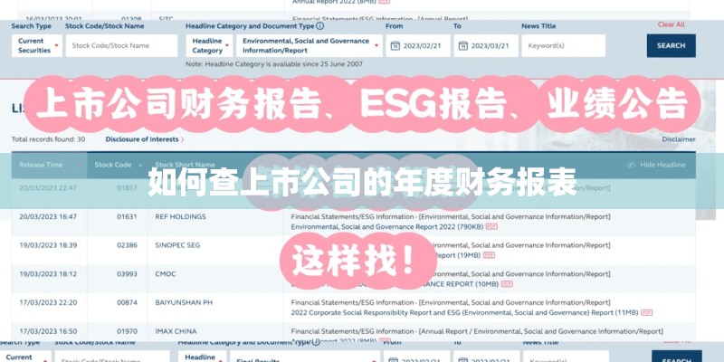 如何查上市公司的年度财务报表