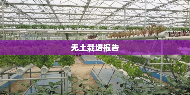 新野县居民户口可以申请廉租房吗