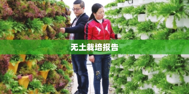 无土栽培报告