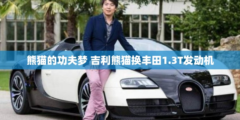 熊猫的功夫梦 吉利熊猫换丰田1.3T发动机
