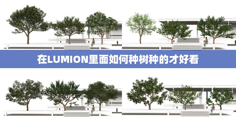 在LUMION里面如何种树种的才好看