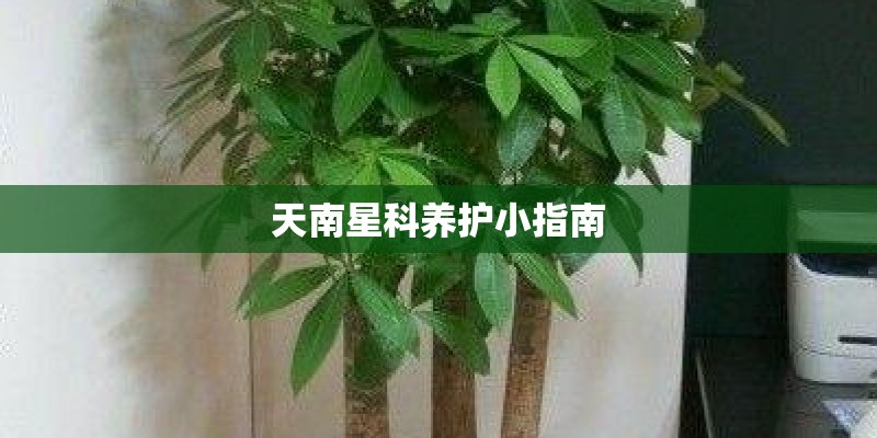 光电股票有哪些