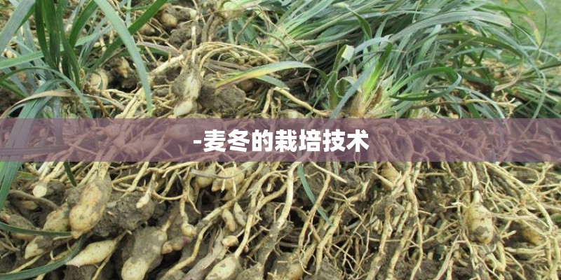 唐山潜水弯天气预报15天