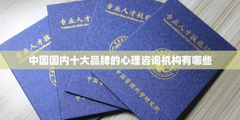 中国国内十大品牌的心理咨询机构有哪些