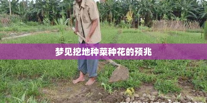 十大客厅耐阴绿植