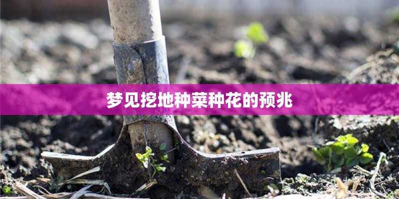梦见挖地种菜种花的预兆