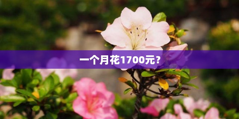 浅谈如何提高小学语文教师教学能力
