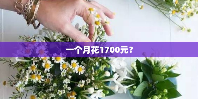 一个月花1700元？