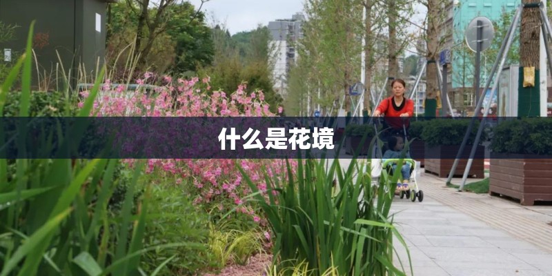 成都和重庆疫情严重吗