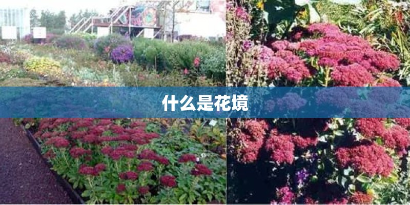 什么是花境