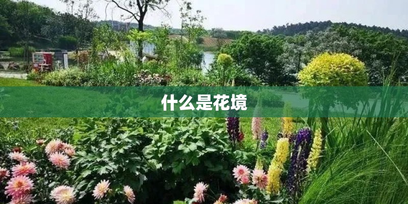 什么是花境
