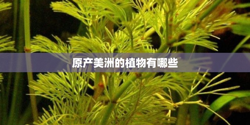 一个月花1700元？