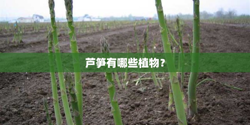 柯南全集题目