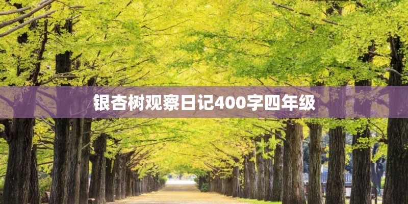 新手业务员怎么找客户？