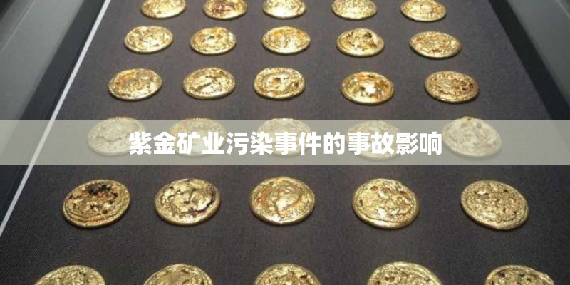 紫金矿业污染事件的事故影响