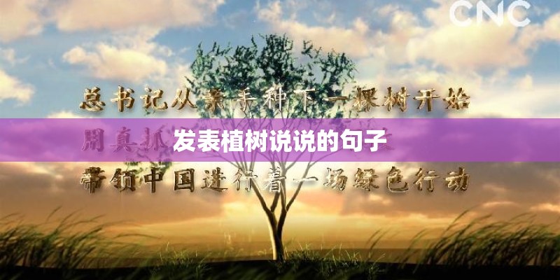 新手业务员怎么找客户？