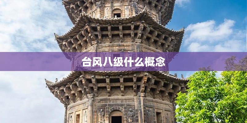 台风八级什么概念