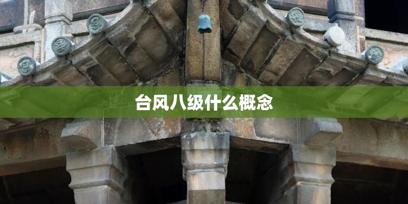 台风八级什么概念