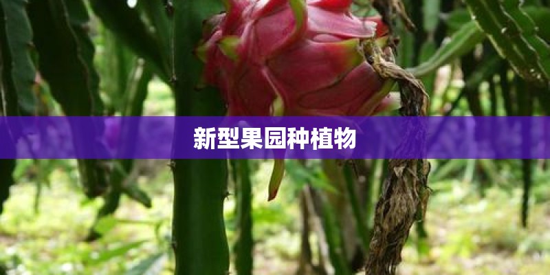 兑旅店需要注意什么-