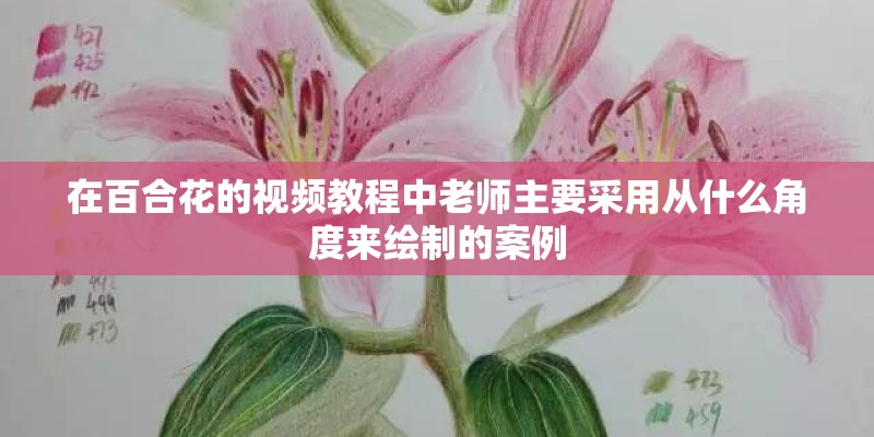 在百合花的视频教程中老师主要采用从什么角度来绘制的案例