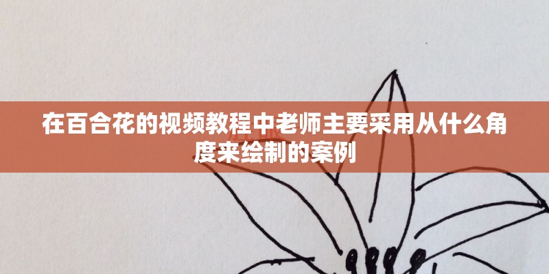 在百合花的视频教程中老师主要采用从什么角度来绘制的案例