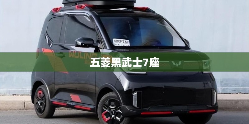 五菱黑武士7座