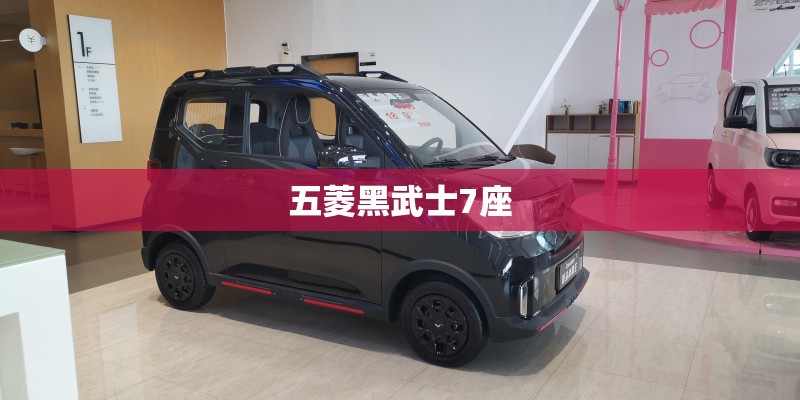 五菱黑武士7座
