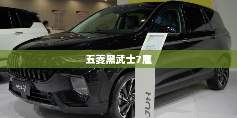 五菱黑武士7座