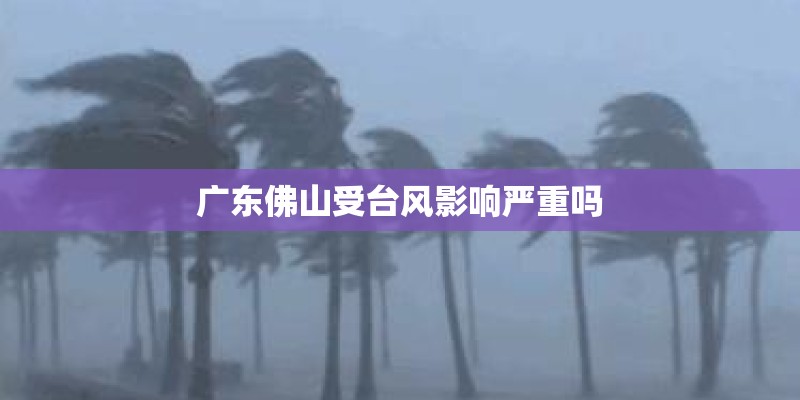 广东佛山受台风影响严重吗