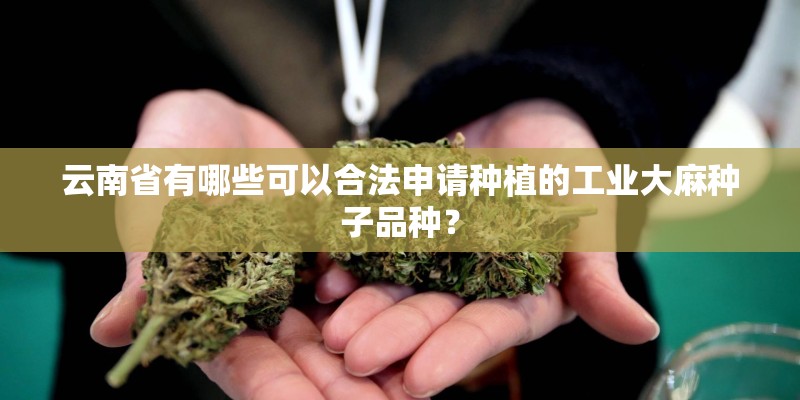 云南省有哪些可以合法申请种植的工业大麻种子品种？