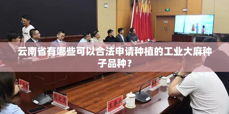 云南省有哪些可以合法申请种植的工业大麻种子品种？