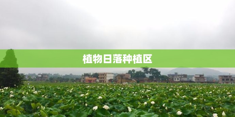 有没有哪位大神公正的评价一下起亚KX5这款车作为家用如何？