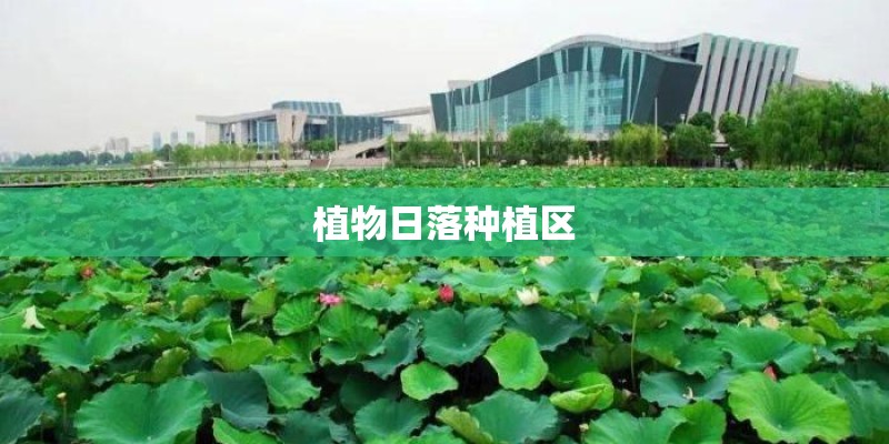 植物日落种植区