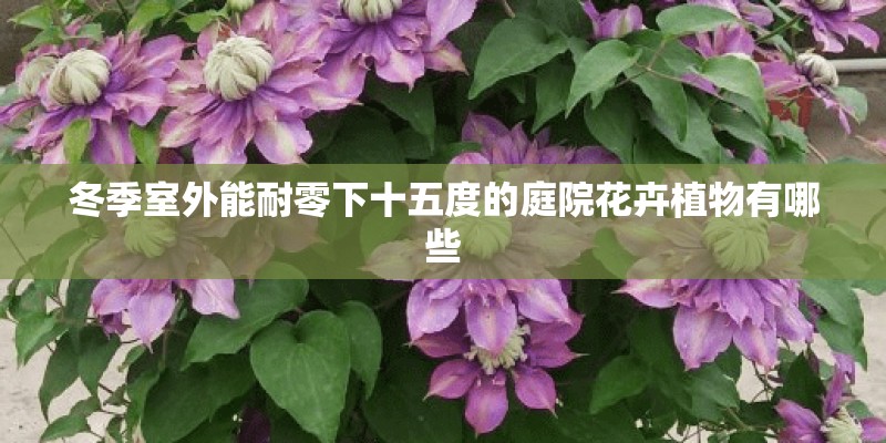 b2驾照扣了6分怎么办
