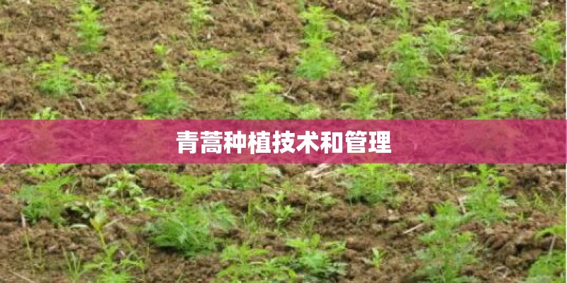 关于中国地理的知识