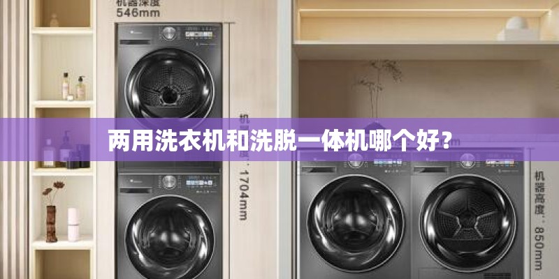 两用洗衣机和洗脱一体机哪个好？